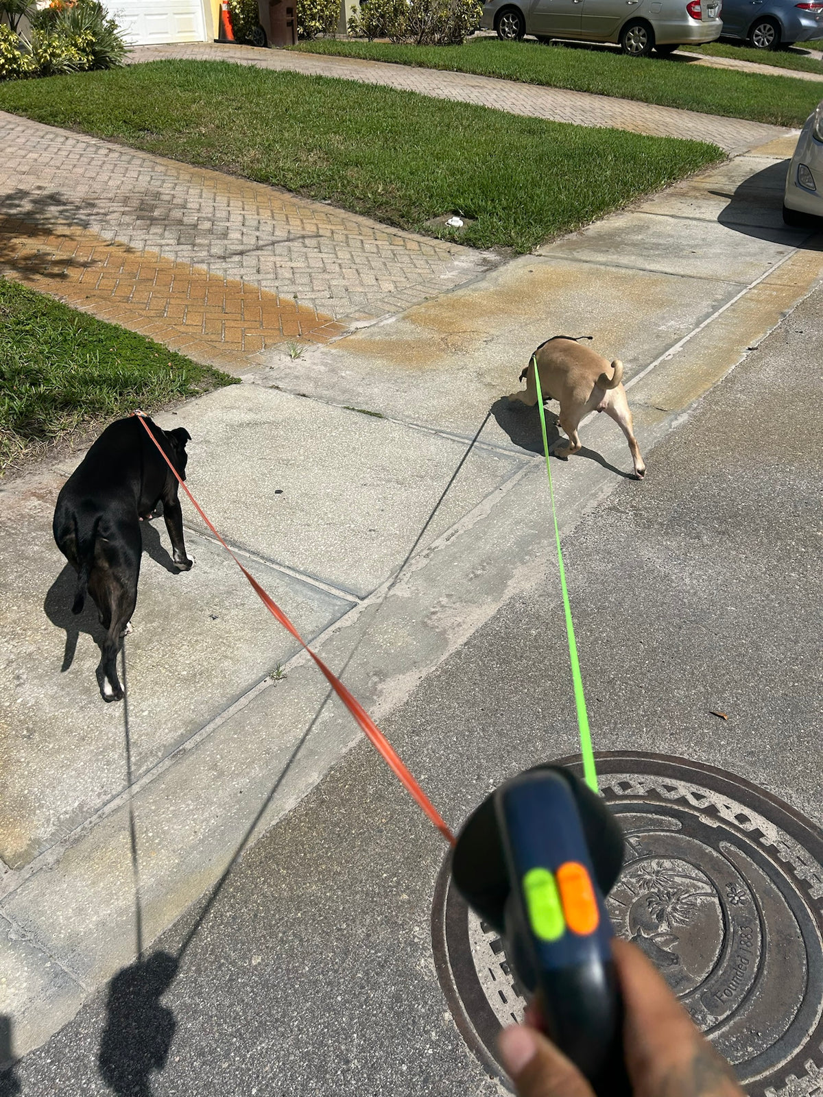 One-handed walk with two dogs using the QuietPaw double leash